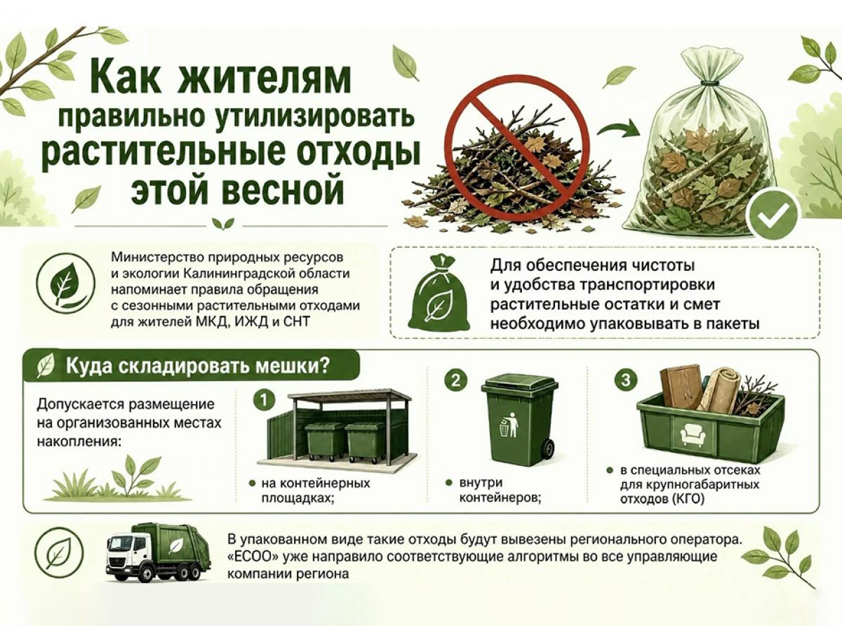 Жителям Зеленоградска напомнили, как правильно утилизировать растительные отходы